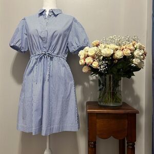 NWOT J.Crew Blue Striped Mini Dress